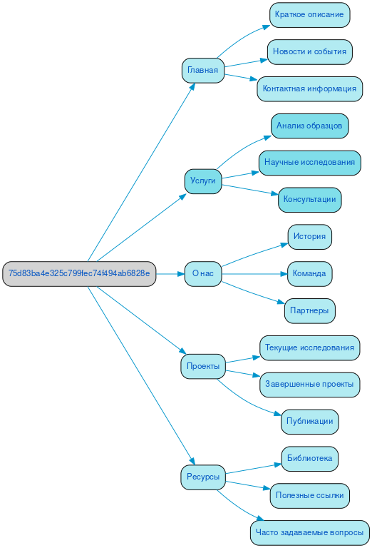 Структура в формате mindmap